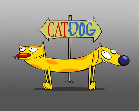 Mi mundo en cartoon : CATDOG