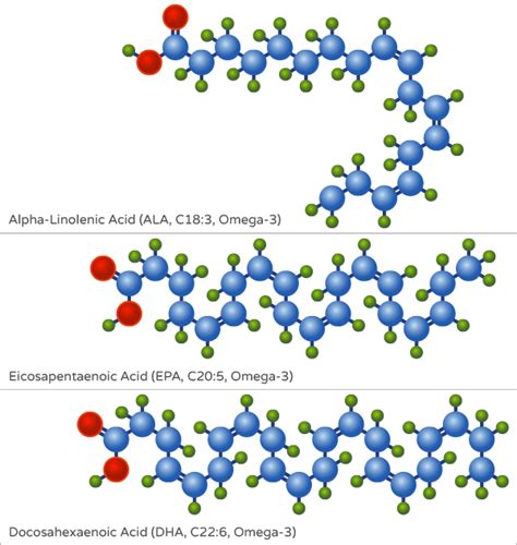 What Are Omega 3 Fatty Acids? - Ruled Me