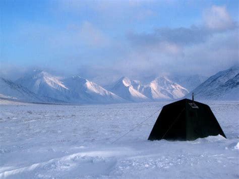 Alaska Winter Adventure - Arctic Wild