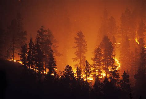 71,300+ Wildfire Stock Photos, Pictures & Royalty-Free Images - iStock