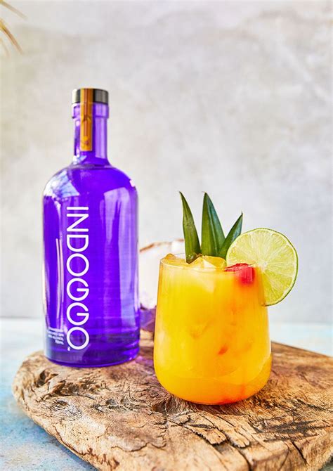 Enjoy the Last Days of Sun with INDOGGO® Gin Cocktails! | Flavoured gin ...