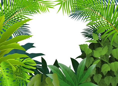 Clipart leaves rainforest, Clipart leaves rainforest Transparent FREE for download on ...