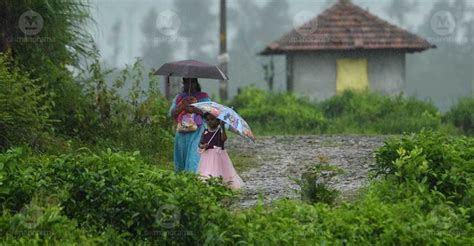 Kerala rain: Holiday for educational institutions in Kuttanad, Kottayam ...