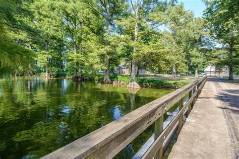 Reelfoot Lake State Park Rental Cabins - Tiptonville, TN | EverLog Systems