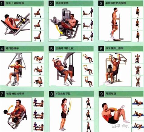 写给健身房新手的2套训练计划，9个部位，18个动作 - 知乎