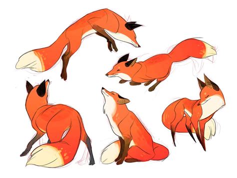 Fox Drawing Reference and Sketches for Artists