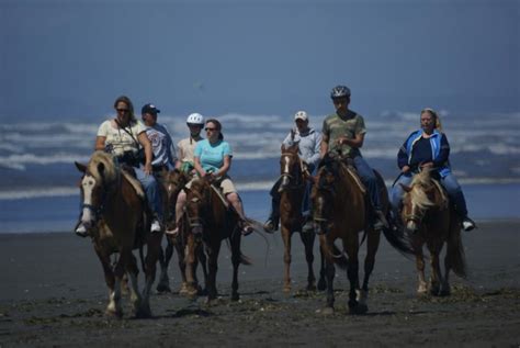 Things To Do in Ocean Shores, Washington!