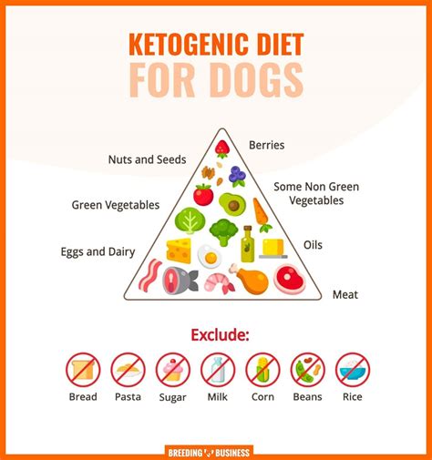 Ketogenic Diet for Dogs – Guidelines, Ingredients, Pros & Cons