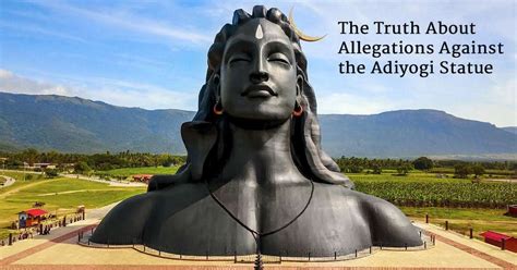 Did the Adiyogi Statue Destroy the Forest?