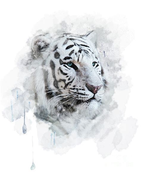 White Tiger Digital Art by Svetlana Foote - Fine Art America