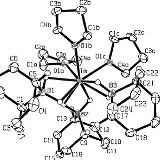 Molecular structure of (THF) 3 Tm{( μ -H) 2 BC 8 H 14 } 3 with 50%... | Download Scientific Diagram