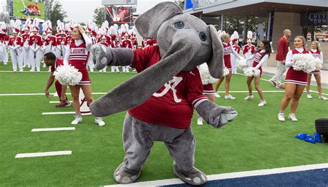 Incredibly Intricate Canvas Painting Of 400+ College Mascots Goes Viral