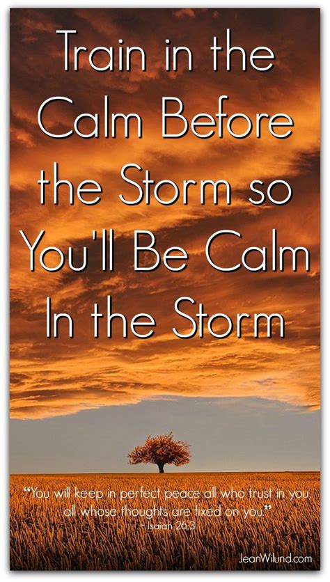 Calm Before The Storm Quotes - ShortQuotes.cc