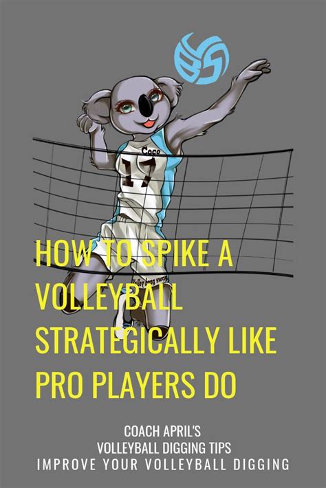 How To Spike A Volleyball Learn To Improve Your Attacking Techniques | Coaching volleyball ...