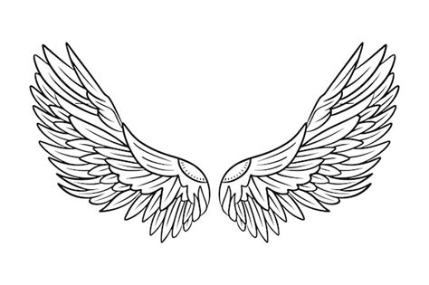 Premium Vector | Sketch angel wings. Angel feather wing. Vector ...