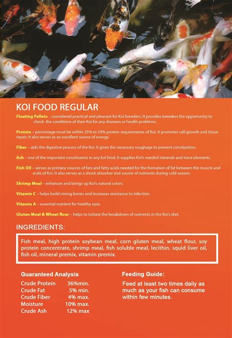 What do koi fish eat Urge Feeding Tips Recommendations 2019 | Koi fish, Fish information, Koi