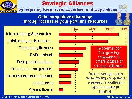 STRATEGIC ALLIANCES - Benefits, Risks, Problems, Case Studies, How To Build Successful Strategic ...