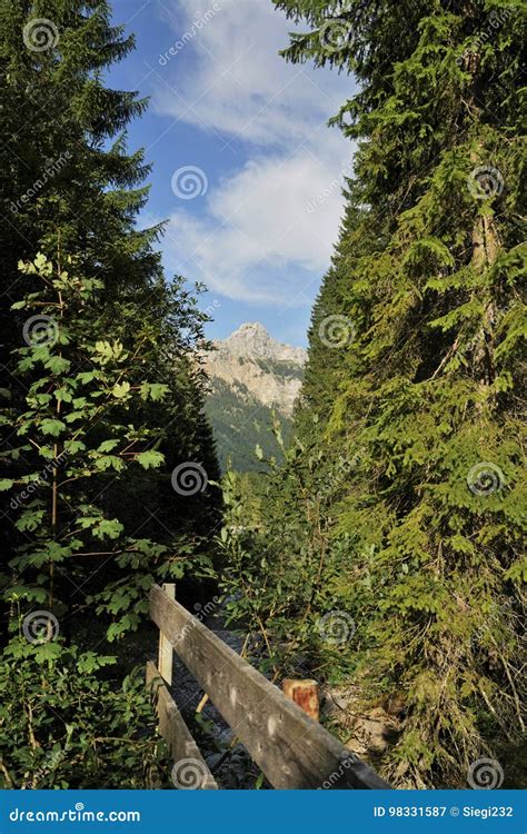 Tyrolean Alps stock image. Image of hill, landscape, hiking - 98331587