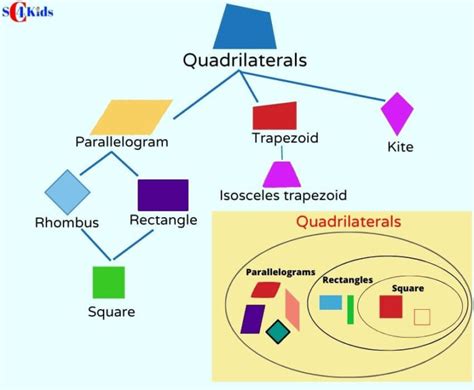 Quadrilateral [Explained with Pic], 7 Types of Quadrilaterals