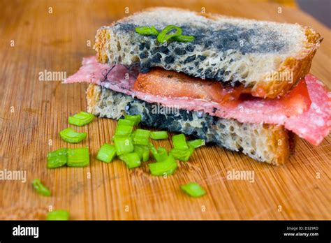 Moldy sandwich hi-res stock photography and images - Alamy