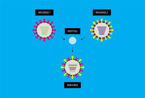 How Do Viruses Mutate and What it Means for a Vaccine? | Pfizer