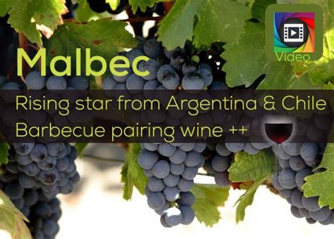 Wines.com - Malbec