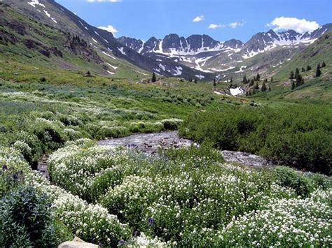 American Basin Trail : Climbing, Hiking & Mountaineering : SummitPost