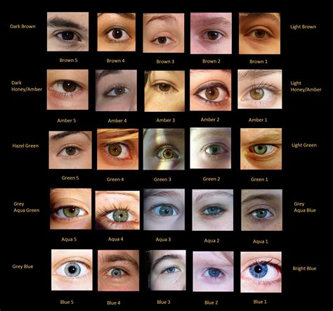 Eye Colour Chart with Real Eye Photos