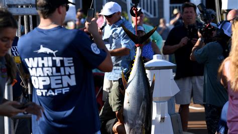 White Marlin Open 2023: Tuna rule day 1 for 50th anniversary