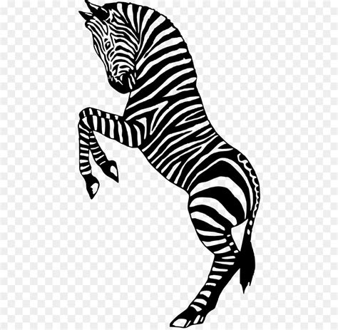 Free Zebra Silhouette Png, Download Free Zebra Silhouette Png png images, Free ClipArts on ...