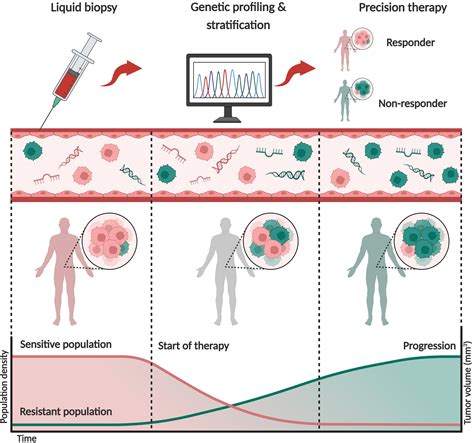 Liquid Biopsy for Prostate and Bladder Cancer: Progress and Pitfalls - European Urology Focus