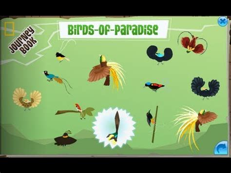 Animal Jam Birds Of Paradise Journey Book