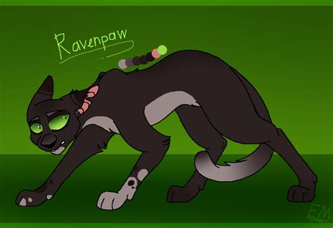 Ravenpaw design (Warrior cats) by Emamaria on DeviantArt