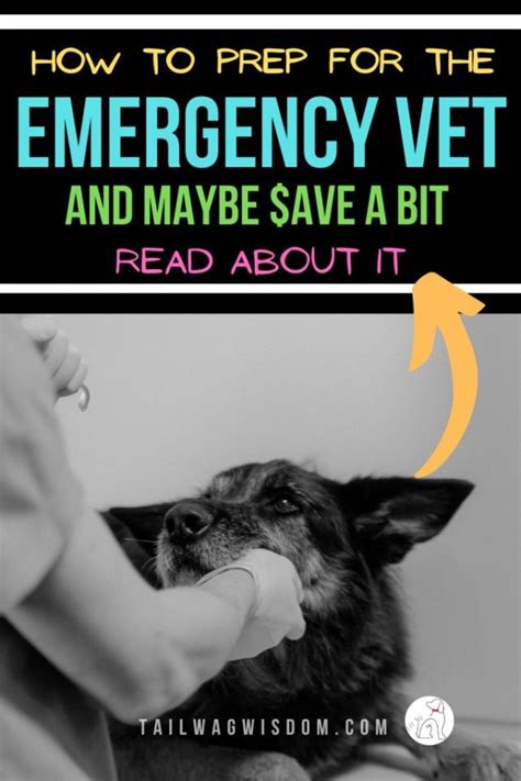 Easy Dog Emergency Vet Visits Tips - Tail Wag Wisdom