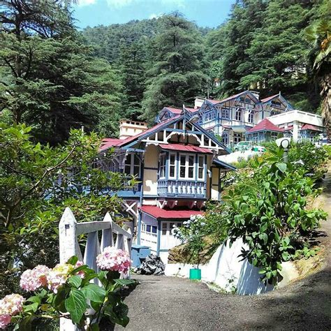 The Simla Legacy: The Cedar Guest House in Simla is absolutely charming with its subtle colors ...