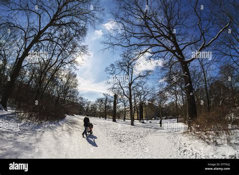 Winter in the Park Stock Photo - Alamy