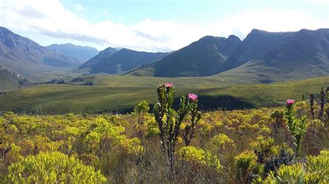 Kogelberg Hike | Hiking | Walk | South Africa | Africansunroad.com