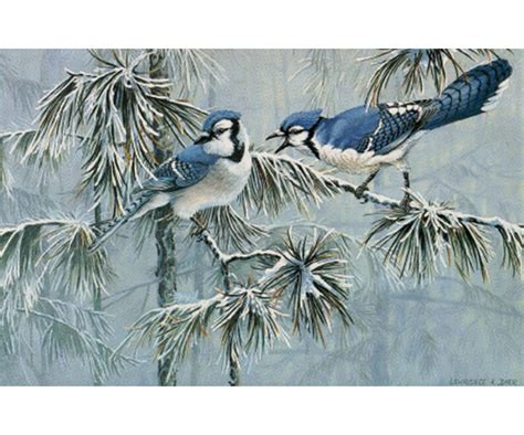 Toronto Blue Jays Winter Jays Art Print by Lawrence Dyer | Etsy