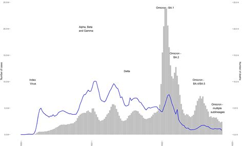 One year since the emergence of COVID-19 virus variant Omicron – Health ...