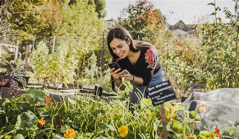 New Google Lens feature can help you identify your favourite flowers ...