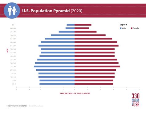 U.S. Population Pyramid infographic - Population Education