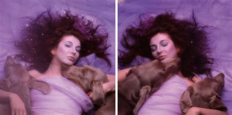 Kate bush hounds of love - pormystery