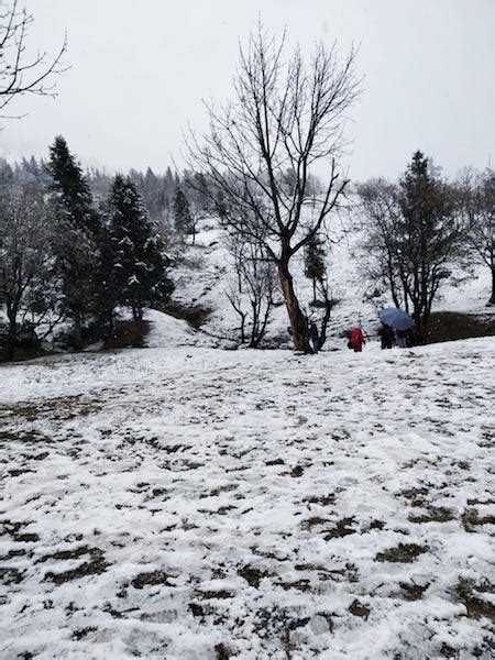 Manali Gets Season's First Snowfall - Hill Post