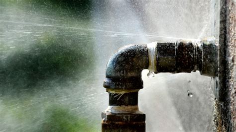 The Most Common Water Damage: Leaky and Burst Pipes