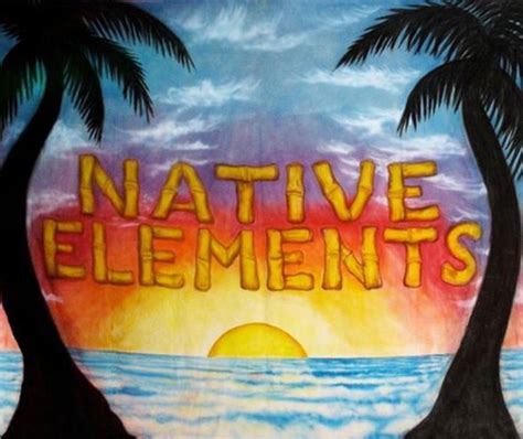 Native Elements Concerts & Live Tour Dates: 2024-2025 Tickets | Bandsintown