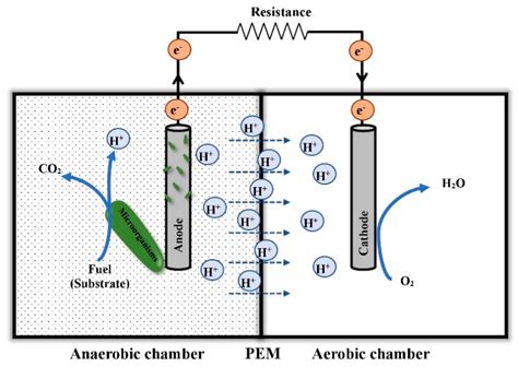 Microorganisms | Free Full-Text | The Potential of Microbial Fuel Cells for Remediation of Heavy ...