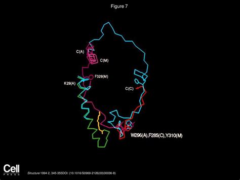 Three protein kinase structures define a common motif - ppt download