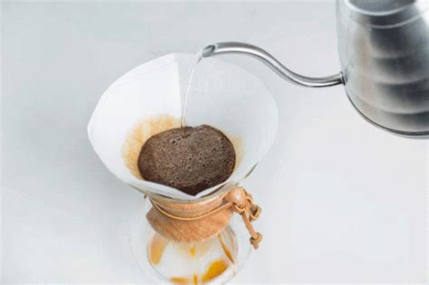 Chemex Coffee GIF - Chemex Coffee Farro - Discover & Share GIFs