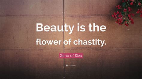 Top 5 Zeno of Elea Quotes | 2021 Edition | Free Images - QuoteFancy