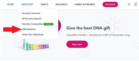 What Are DNA Relatives on 23andMe? - Who are You Made Of?